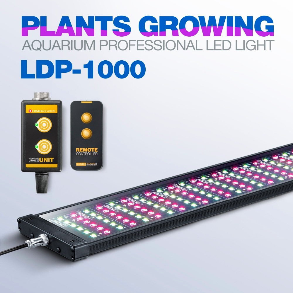 LICAH  Ĺ  LED  LDP-1000,  
